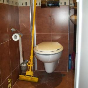 Висяща тоалетна чиния