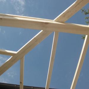 Снимка  от Ангел Ангелов