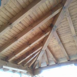 Снимка  от Кънчо Даскалов