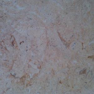 Снимка  от stela kreto