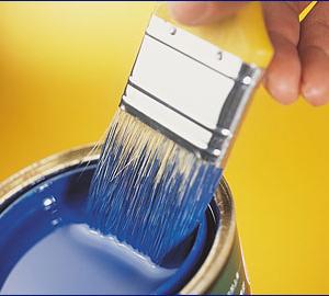 Снимка  от Венелин Лесов