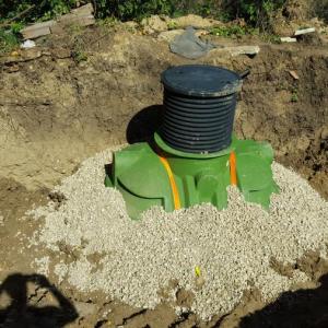 Снимка  от Венелин Лесов