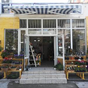 От един пустеещ склад, до чисто нов магазин