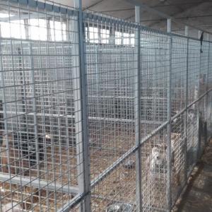 клетки за кучета