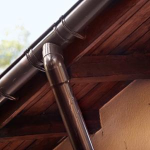 Снимка  от Арсо Иванов