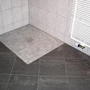 Снимка  от Венелин Лесов