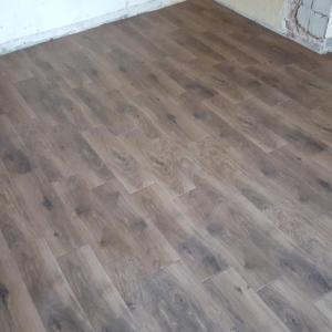 Снимка  от Венелин Лесов