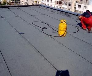 Снимка  от Арсо Иванов