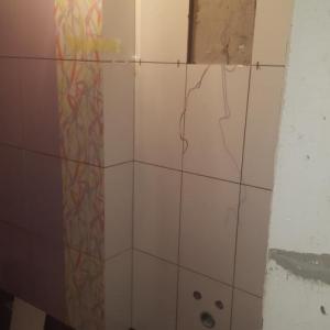 Снимка  от Венелин Лесов