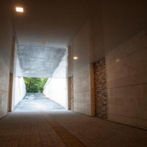 Снимка  от Иван Кацев