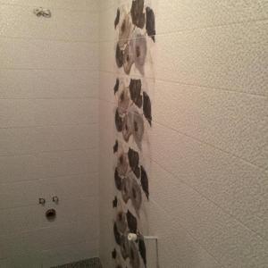 Манстирски ливди