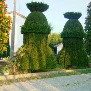 Снимка  от Мариана Коларова