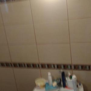 Фаянс на баня