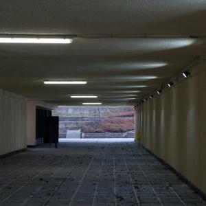 Снимка  от Иван Кацев