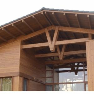 Снимка  от Тони Стоянчев