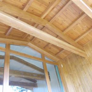 Снимка  от Тони Стоянчев