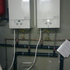 Снимка  от Димо Димов