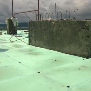 Снимка  от Бисер Радев