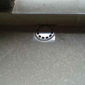 Снимка  от Петър Гицов