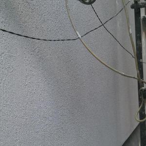 Снимка  от Петър Гицов