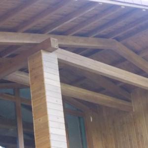 Снимка  от Тони Стоянчев