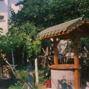 Снимка  от Трайко Трайков