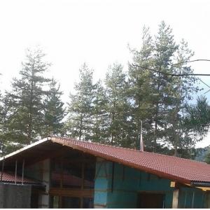 Снимка  от Тони Стоянчев