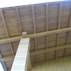 Снимка  от Тони Стоянчев