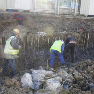 Снимка  от Любомир Николов