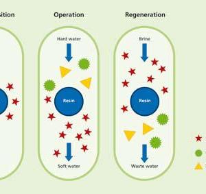 Снимка  от Сашо Йорданов