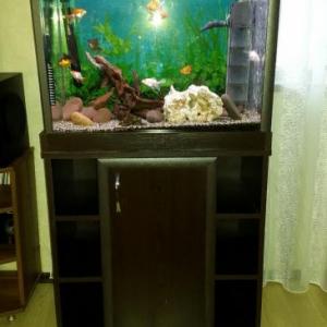 Снимка  от ulian vanchov