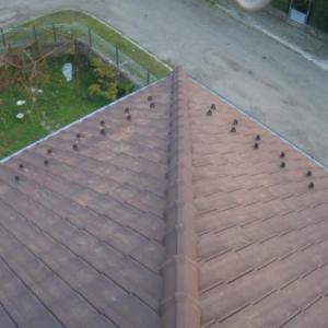 Снимка  от Владимир Младенов