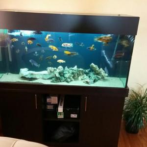 Снимка  от ulian vanchov