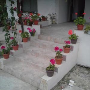 Снимка  от Рустем Махиянов