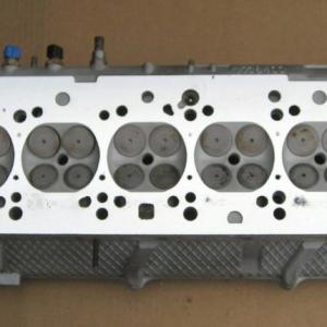 Снимка  от Светла Тенева