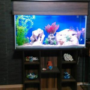 Снимка  от ulian vanchov