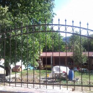 Снимка  от Александър Драганов