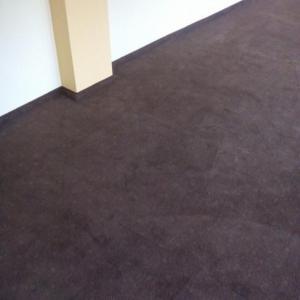 Снимка  от Желязко Павлов