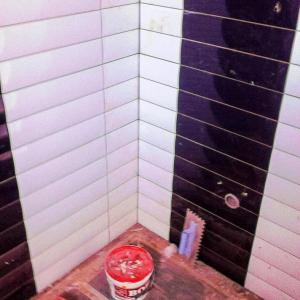 Фаянс в баня