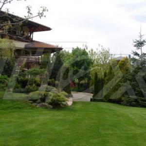 Снимка  от Тошко Тодоров