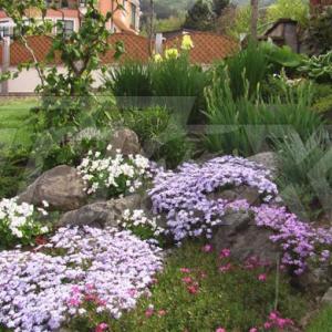 Озеленяване на двор