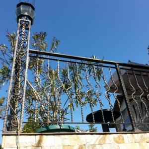 Снимка  от Георги Бечев