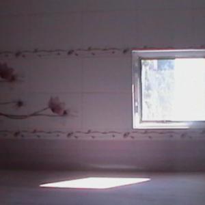 Снимка  от Красимир Симеонов