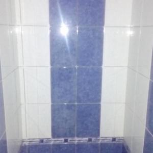 Тоалетна сега