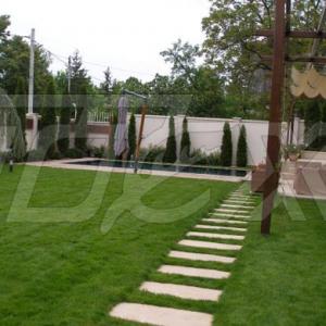 Снимка  от Тошко Тодоров