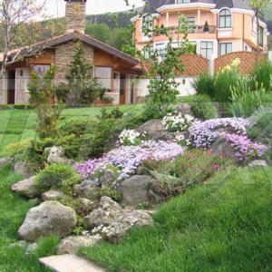 Снимка  от Тошко Тодоров