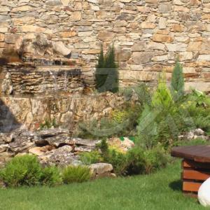 Снимка  от Тошко Тодоров