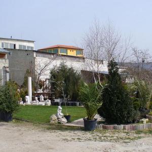 Снимка  от Мирослав Пенчев