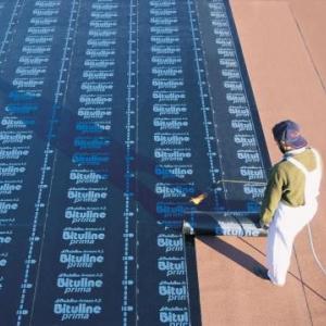 Снимка  от Ignat Ignatov