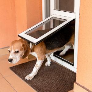 Комарник с вртатичка за домашни любимци